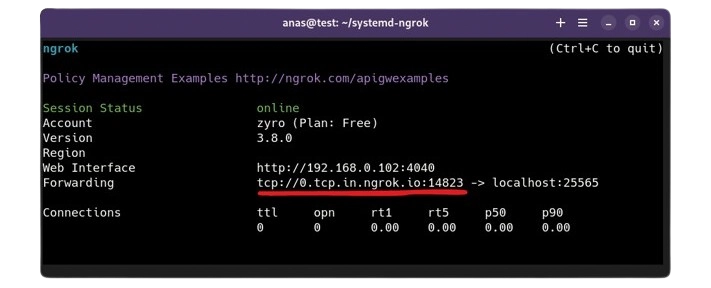 image title Ngrok tcp tunnel